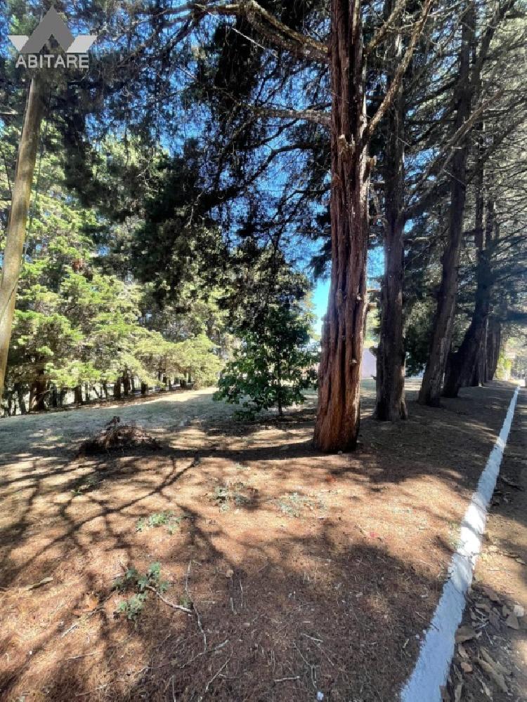 Terreno en venta — foto 7