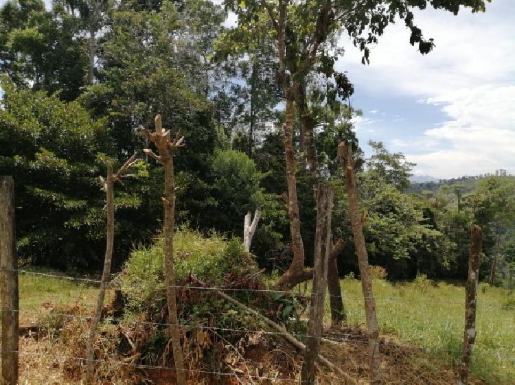 Vendo Finca de 120mnz en Puerto Barrios, Izabal Ref-229 - 8