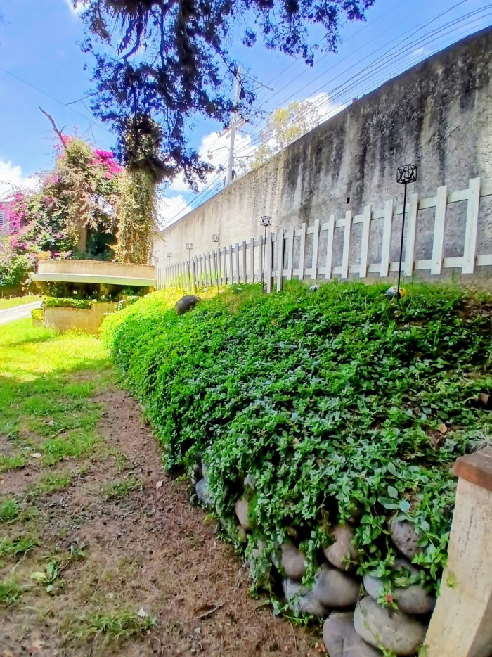 En renta accesible terreno comercial - Miniatura 17