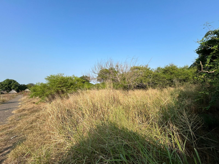 TERRENO GRANDE EN VENTA EN IZTAPA PARA DESARROLLO - 17