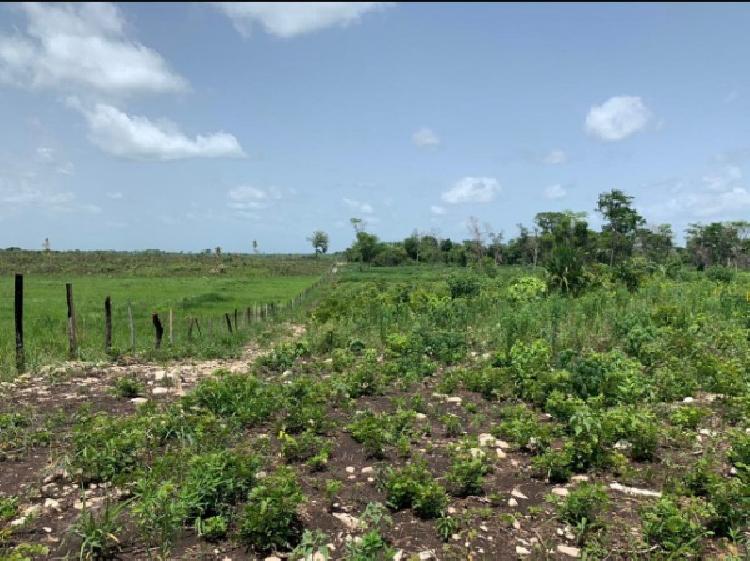 Finca Las Cruces, La Libertad, Peten - 3