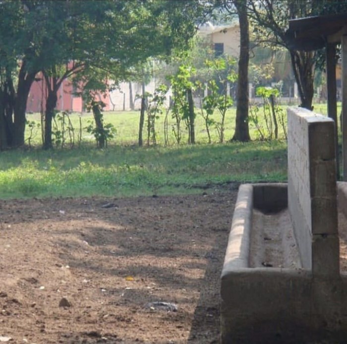 Terreno Barrio La Cienaga, Municipio Gualan, Zacapa - Miniatura 6
