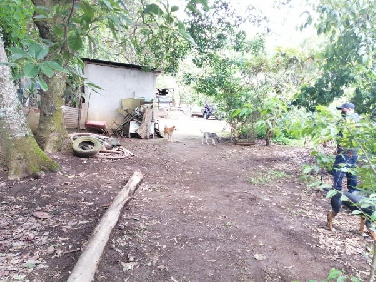 TERRENO EN VENTA EN SAN LUCAS — foto 8