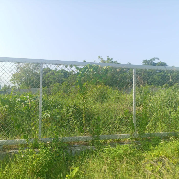 Solar Comercial en Venta – Autopista Las Américas - 2