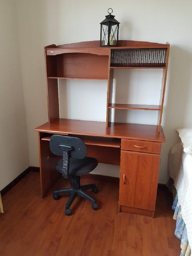APARTAMENTO AMUEBLADO EN RENTA EN EDIFICIO BELLINI — foto 6