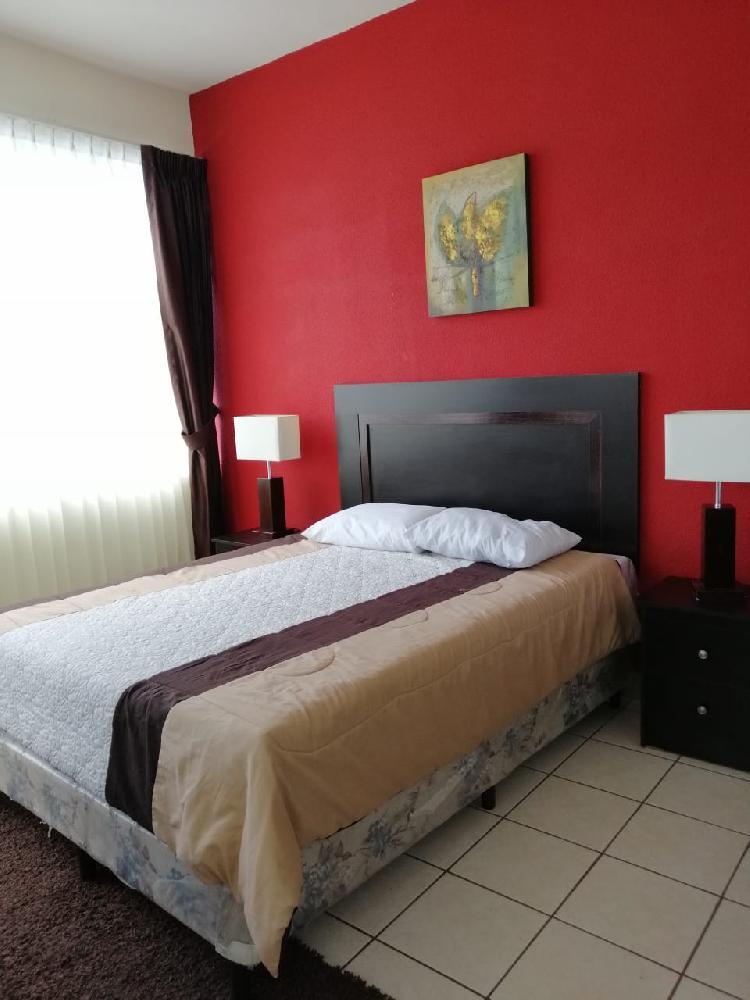 APARTAMENTO EN RENTA, ZONA 14 — foto 6