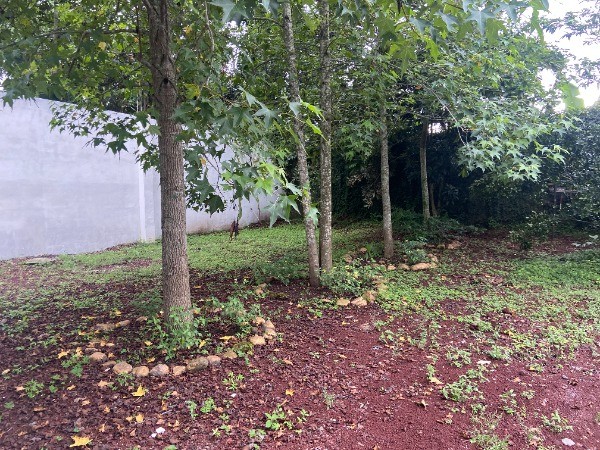 TERRENO CON LOCAL COMERCIAL EN VENTA EN EL CERINAL - 15