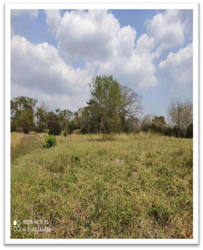 Vendo terreno residencial en Escuintla - 1