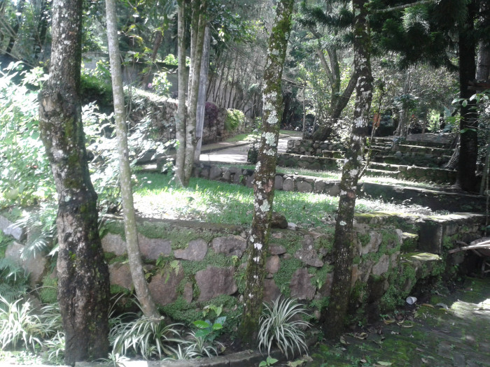 En venta terreno en zona 15 Colonia Trinidad - Miniatura 6