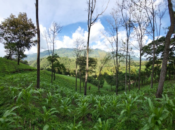 Finca en venta en San Jose Pinula camino a Monte Cristo — foto 3