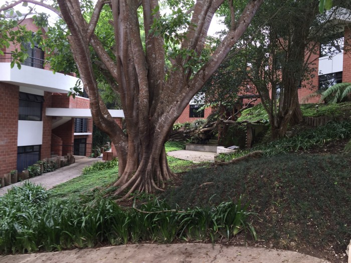 OFERTA!! Rento apartamento en Carretera a El Salvador, — foto 3