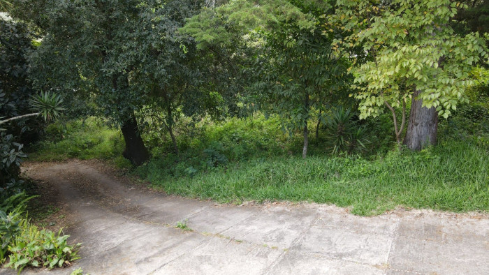 Terreno en VENTA, El Encinal Tronco 2 - Image 2