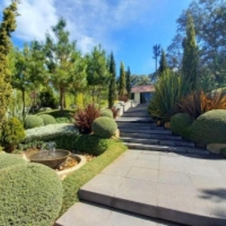 Casa Nueva en San Lucas — foto 3