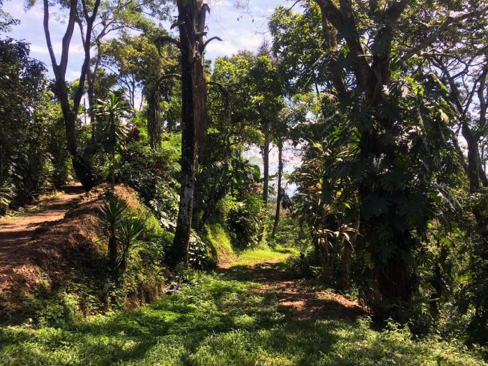 Planes de renderos, terreno con vista en venta. - 2