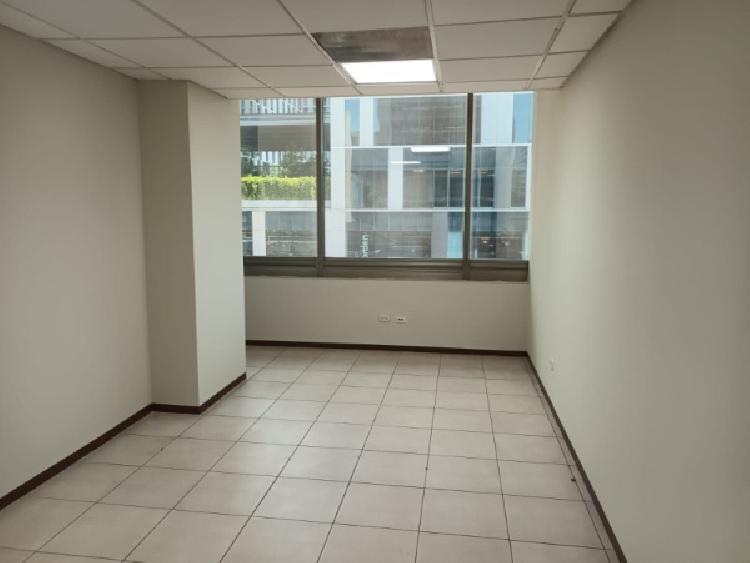 OFICINA EN RENTA EN PASEO PLAZA, ZONA 10 — foto 5