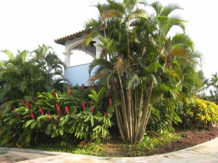 Terreno en venta en PAcific Garden Escuintla - Image 3