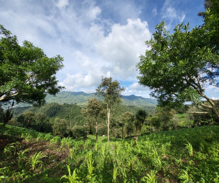 Finca en venta en San Jose Pinula camino a Monte Cristo — foto 10
