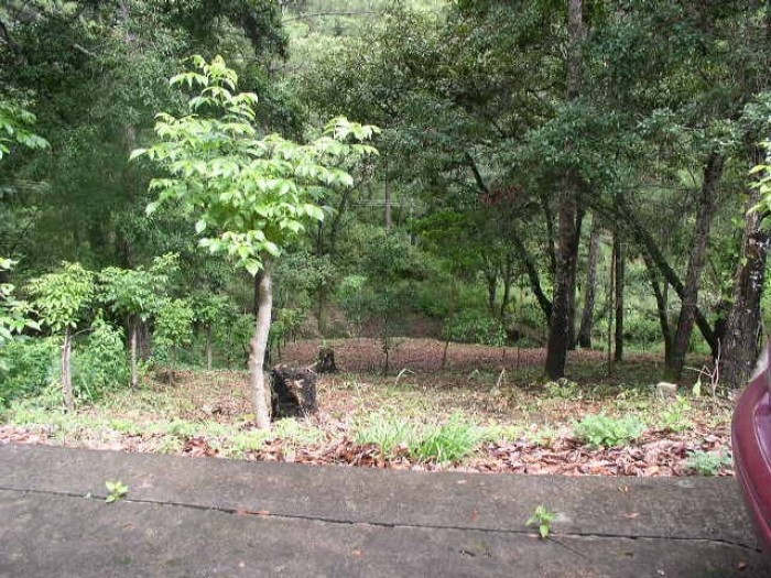 Terreno Hacienda Quinta las Flores, S. Juan Sac. - 2