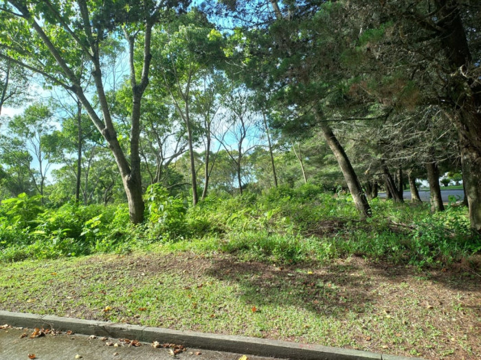 Plus Real Estate vende terreno en km 23.5 CAES