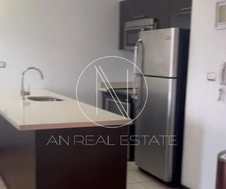 APARTAMENTO AMUEBLADO EN RENTA EN ZONA 14 — foto 3