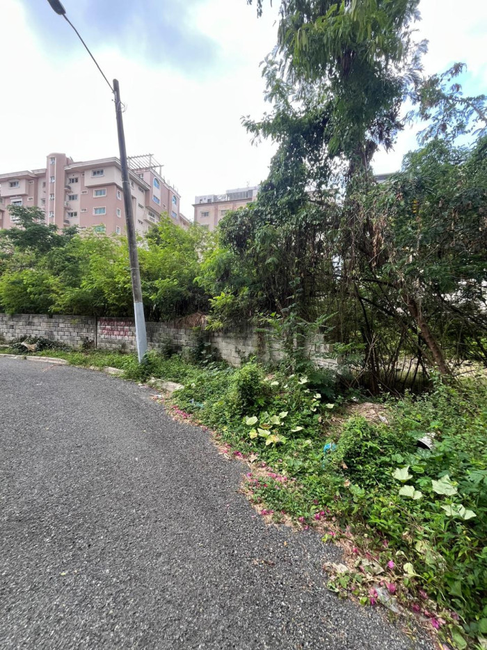 Vendo terreno en la avenida anacaona casi esq Luperon - 1