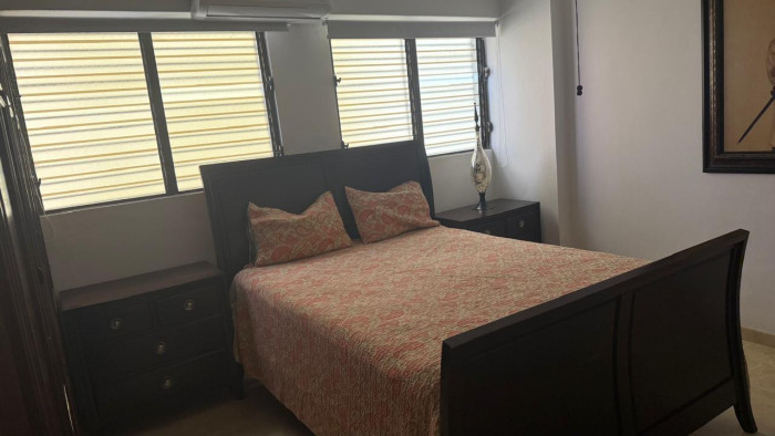 Apartamento Amueblado en Alquiler en Evaristo Morales - 9