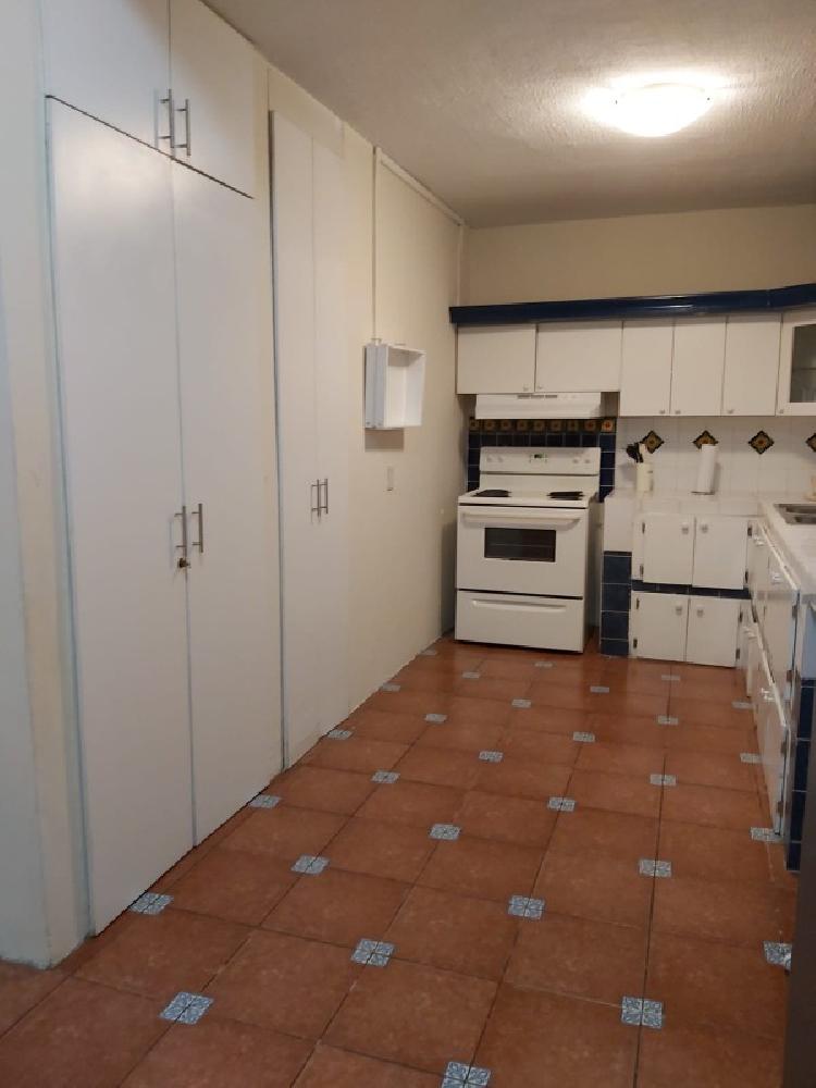 APARTAMENTO AMOBLADO EN RENTA ZONA 9/MUNDO INMOBILIARIO — foto 2