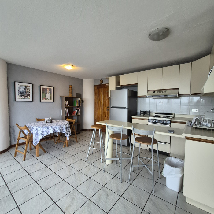 Renta apartamento amplio de 1 habitación en zona 15 VH2 - Image 5