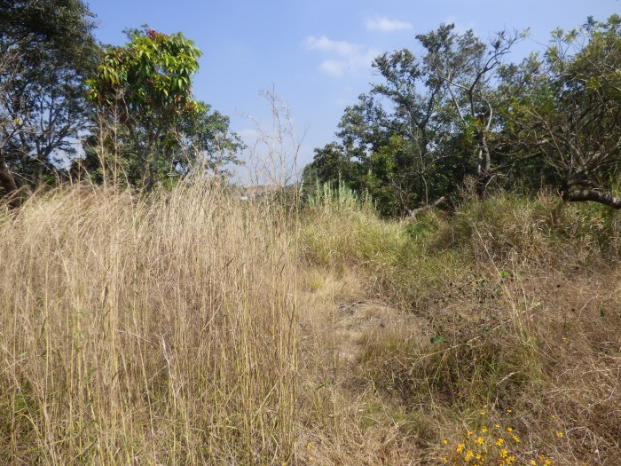 EL CHATO - 3