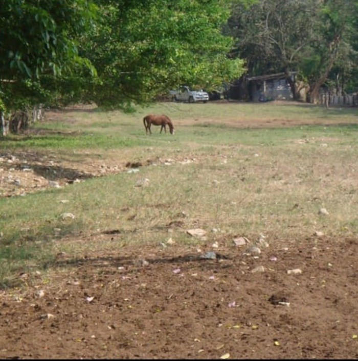 Terreno Barrio La Cienaga, Municipio Gualan, Zacapa - Miniatura 10
