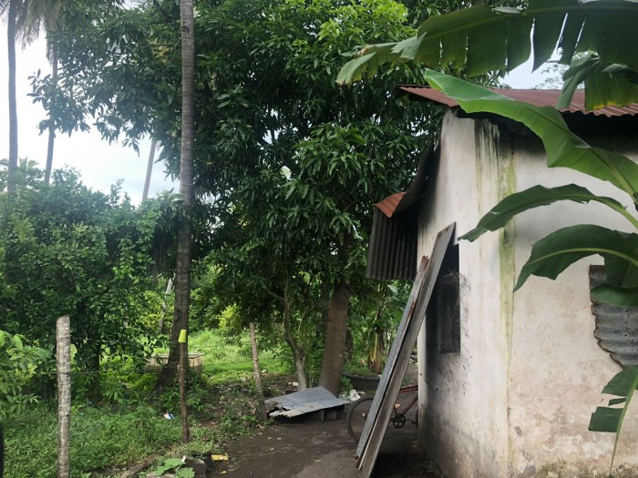 Venta de finca a orilla de carretera Masagua, Escuintla - 3