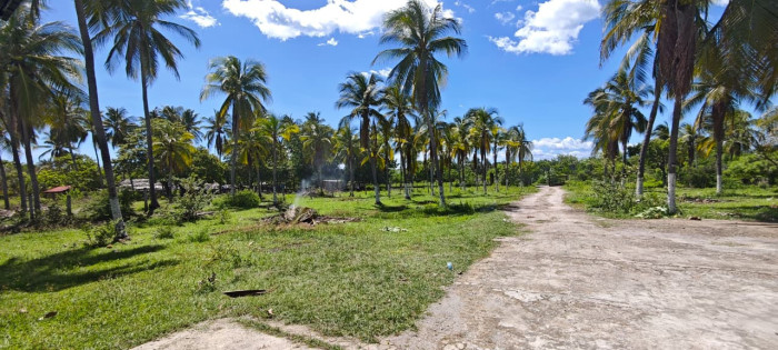 Terreno a metros de la playa en El Espino Usulután - 5