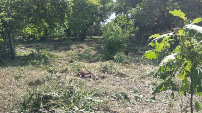 Terreno en Venta en Masagua, Escuintla | Oportunidad Inmobiliaria - Miniatura 4