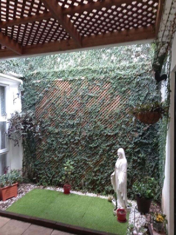 CASA EN VENTA EN LOS OLIVOS ZONA 18 — foto 10