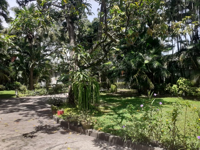 Casa en venta Colonia Escalón, San Salvador, - 3
