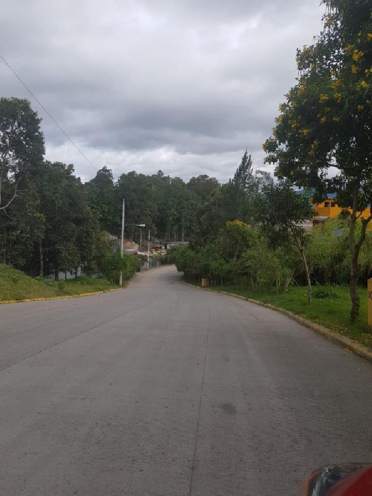 TERRENO # 7 EN RENTA EN RUTA AL ATLANTICO ZONA 17 - 7