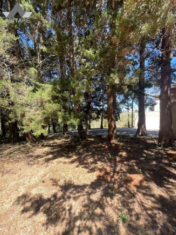 Terreno en venta — foto 5