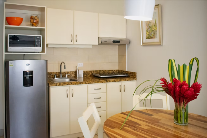RENTA HERMOSO APARTAMENTO EN SABANA NORTE SAN JOSÉ - 2