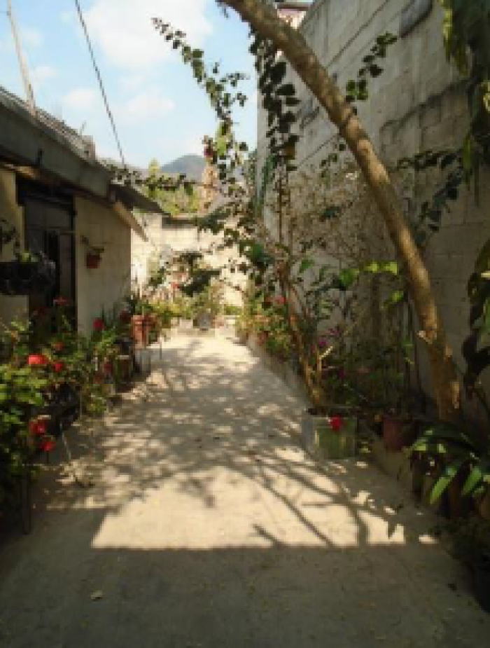 CASA AMPLIA JALAPA - Image 2