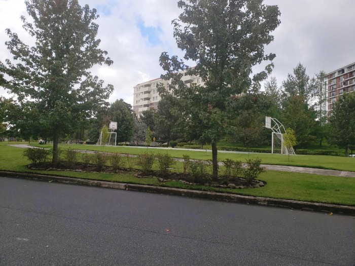 ZONA 16. RENTO APARTAMENTO EN VILLAS DE SAN ISIDRO — foto 10