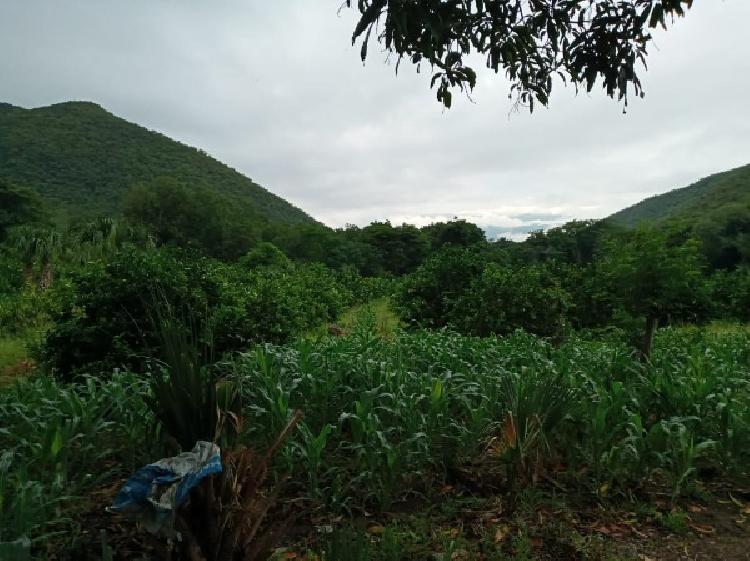FINCA EN VENTA EN EL PROGRESO - 6