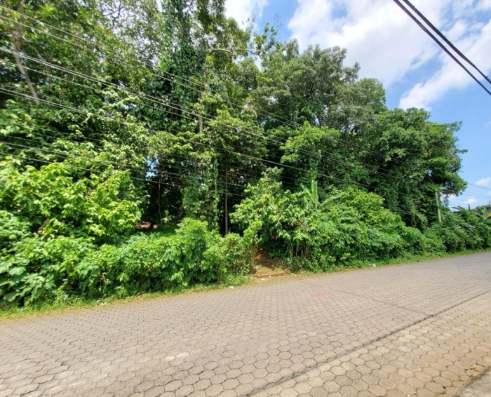 TERRENO PLANO EN VENTA EN MAZATENANGO PARA DESARROLLO - 6