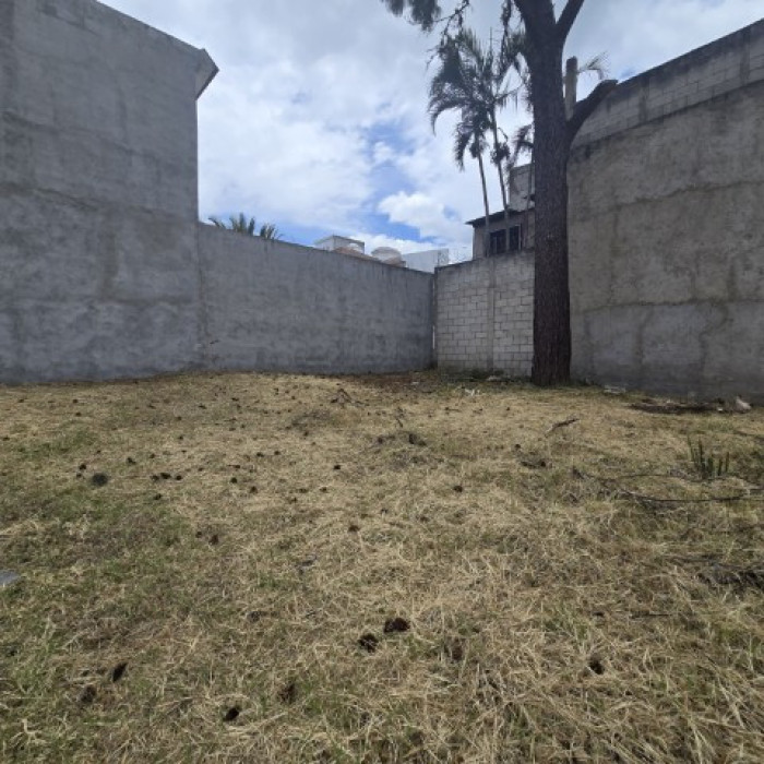 Terreno en Venta Pinares de San Cristóbal, Zona 8 Mixco - Miniatura 10