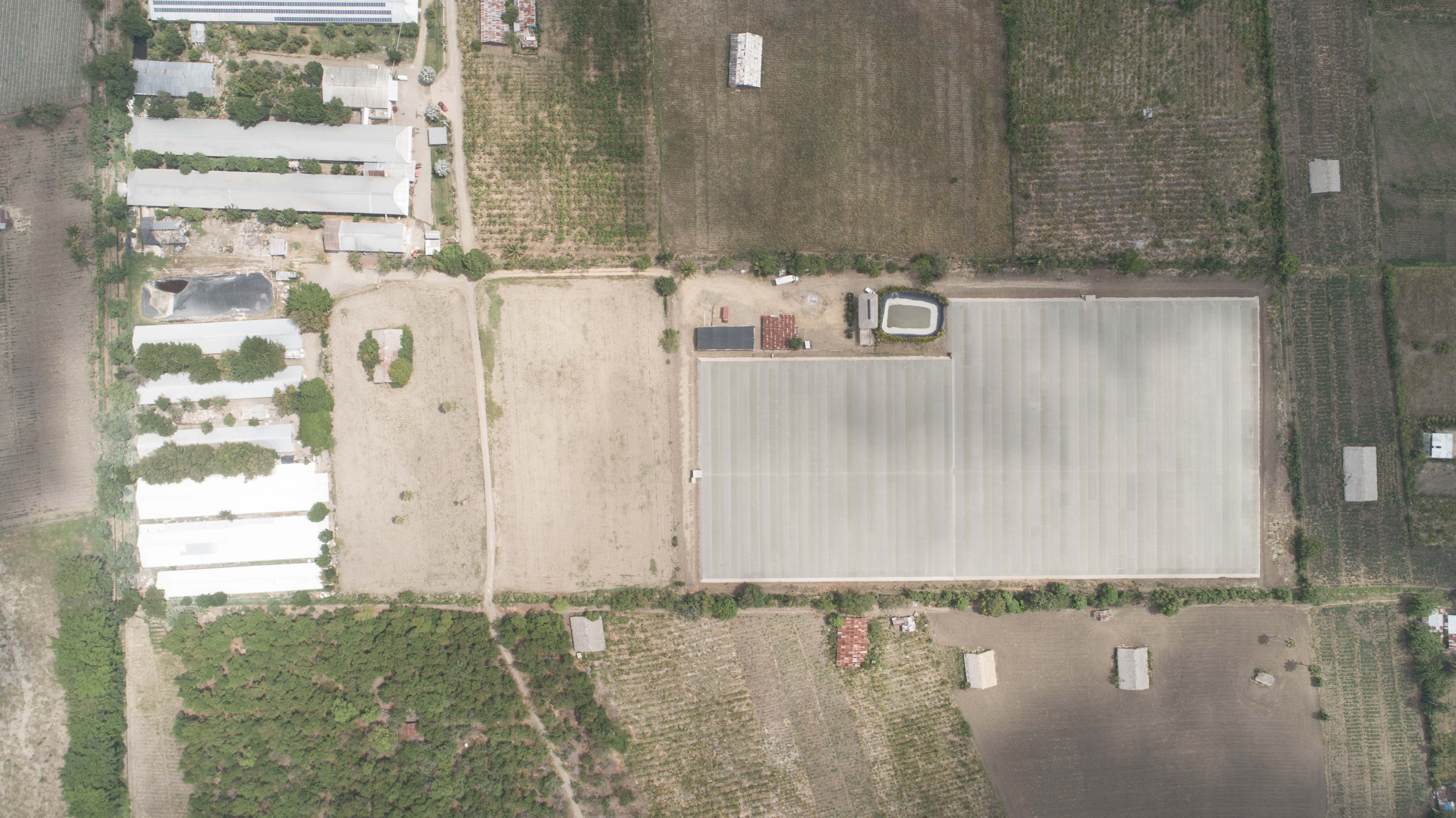 Terreno Proyecto Agricola ubicado en Villa Gonzalez - 14