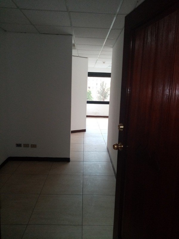 Oficina en renta zona 10