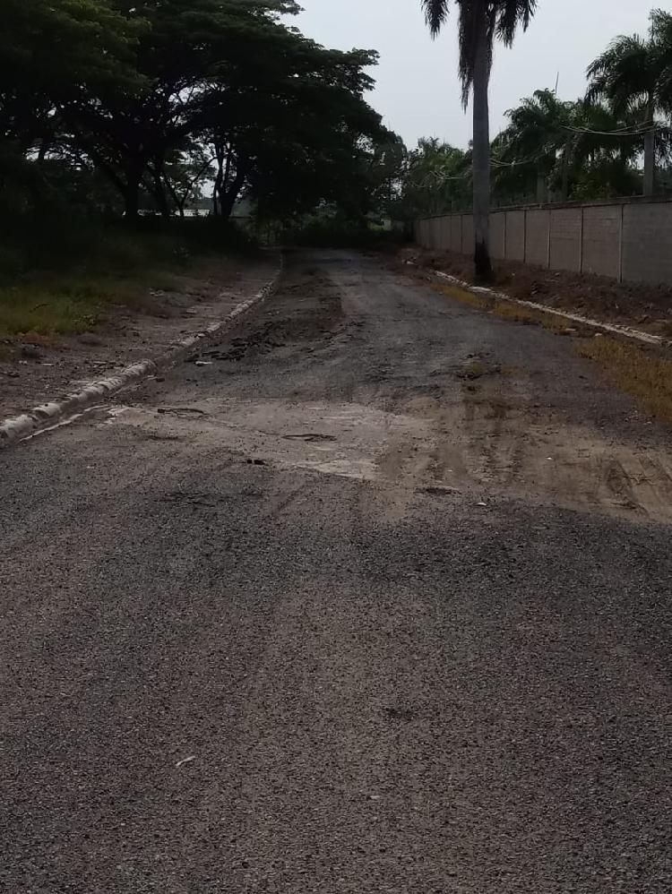 DISTRITO MUNICIPAL PUÑAL - 2