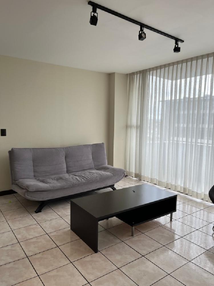 APARTAMENTO AMOBLADO EN RENTA ZONA 9/MUNDO INMOBILIARIO — foto 4