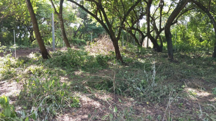 Terreno en Venta en Masagua, Escuintla | Oportunidad Inmobiliaria - Miniatura 2