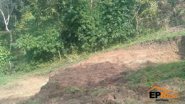 Solar en las Laderas de Jarabacoa. — foto 7