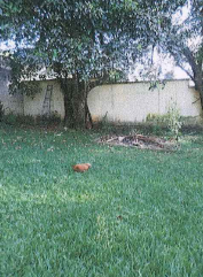 PROPIEDAD COLONIA SANTA ROSA II ZONA 12 - Image 5